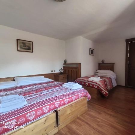 Bed and Breakfast La Favorita Lozzo Cadore Zewnętrze zdjęcie