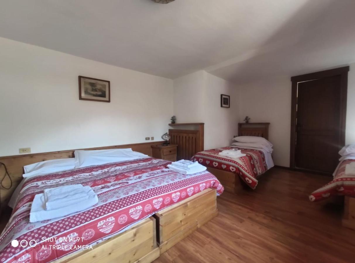Bed and Breakfast La Favorita Lozzo Cadore Zewnętrze zdjęcie